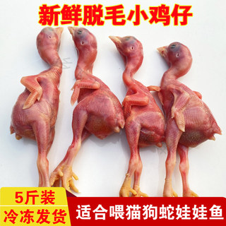 新鲜冷冻脱毛小鸡仔生骨肉饲料猫狗零食食肉动物主食非鹌鹑幼崽