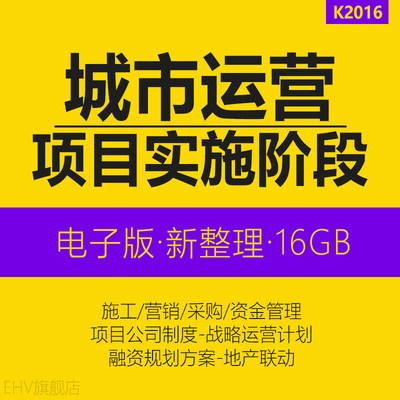 地产城市运营商项目公司制度流程