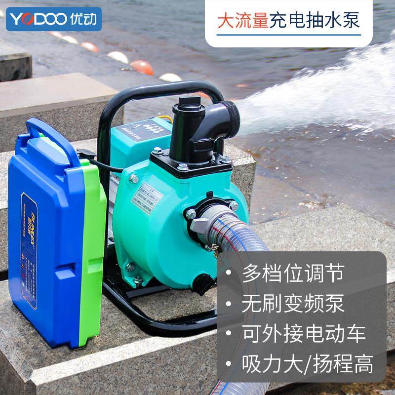 便携锂电户外电动抽水泵农用浇水灌溉48-72V电动车通用家用充电式