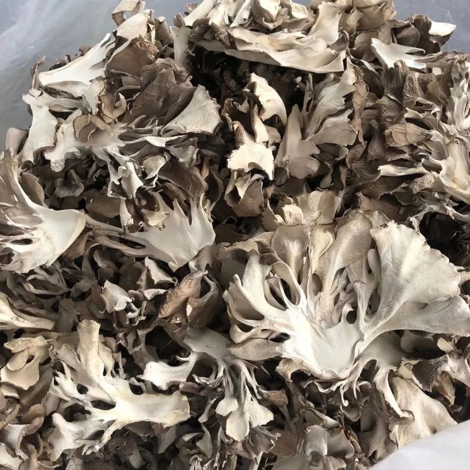 灰树花切片花新货舞茸茶干货灰树菇农家栗蘑菌菇菊花菌千佛菌袋装