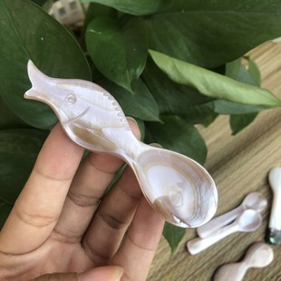 Natural conch shells spoon salt fish small spoon caviar dess