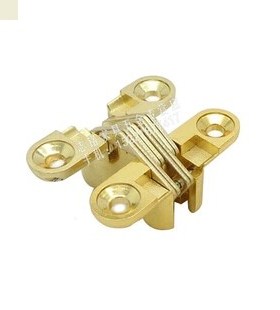 Golden cross dark hinge folding door hinge hidden invisible