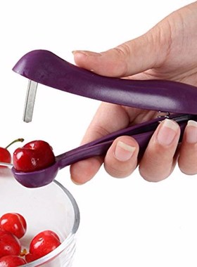 New 5'' Cherry Fruit Kitchen Pitter Remover Olive Corer Remo