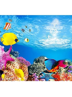 Fish Tank Background HD 3D Drawing Aquarium Glass Wall Backg