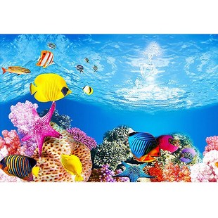 Fish Tank Background HD 3D Drawing Aquarium Glass Wall Backg