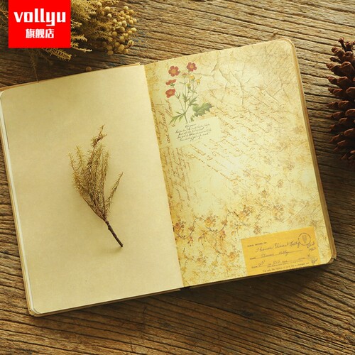 A5欧式复古手账本彩页日记