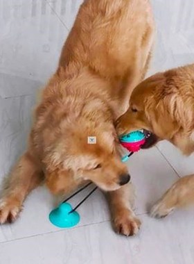 Pet Dog Toys Silicon Suction Cup Tug dog toy Dogs Push Ball