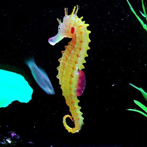 10*4cm Fantastic Glowing Luminous Artificial Simulation Hipp