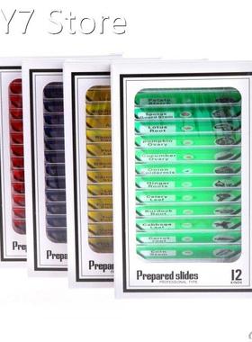 48Pcs/Set Prepared Microscope Slides Specimen Animals Insect