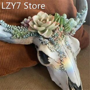 Succulent Flower Cow Skull Wall Decoration Nursery Decor Res