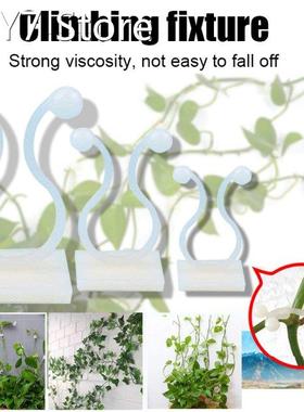 10/20/50Pcs Invisible Wall Vines Fixture Wall Sticky Hook Vi