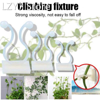 10/20/50Pcs Invisible Wall Vines Fixture Wall Sticky Hook Vi