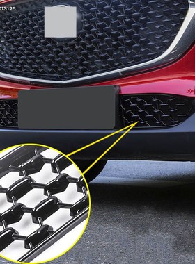 Car Front Bottom Middle Net Decoration Exterior Parts Specia