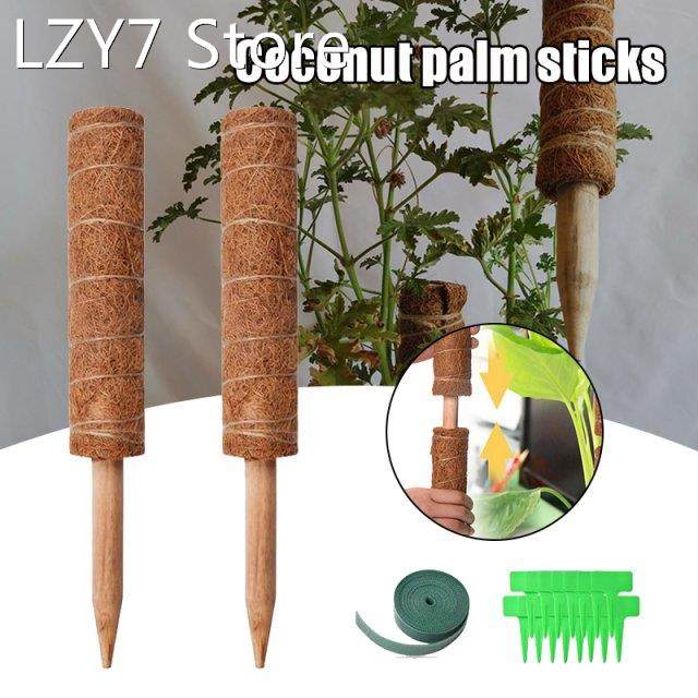 40cm plant climbing moss rods coir totem pole with 15 plant