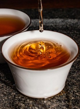 Chinese Tea Baishaxi 2013 Yr Classic 1953 Fucha Dark Chinese