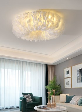 Decoration Feather Ceiling Lamp  Bedroom Modern Decor LED Ce