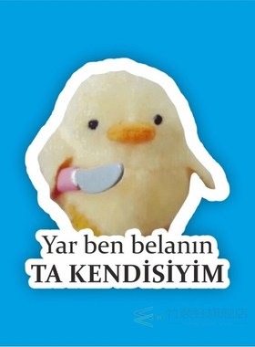 Yar Ben Affliction Ta Kendisiyim Laptop and Phone Sticker-De