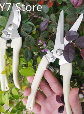 Pruner Orchard And The Garden Hand Tools Bonsai For Scissors
