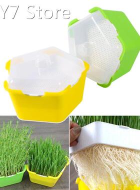 Bean Sprouts Growing Tray Seed Seedling Starter Dish Greenho