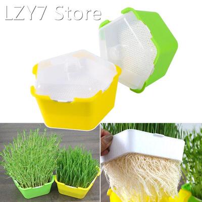 Bean Sprouts Growing Tray Seed Seedling Starter Dish Greenho
