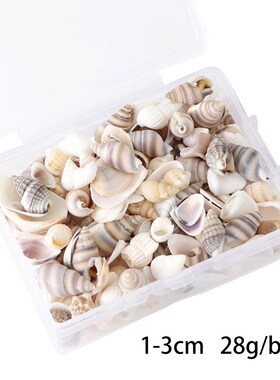 Mix Style Natural Shell 1-3cm 1 BOX Natural Conch Shells Min