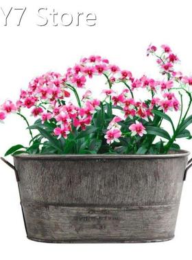 Zinc Metal Flowerpot Garden Planter Trough Flower Plant Pot