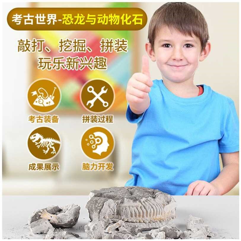 diy puzzle archaeology digs for dinosaurs儿童益智考古玩具
