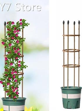 Climbing Pergola Metal Garden Plant Climbing Trellis Cage Ga