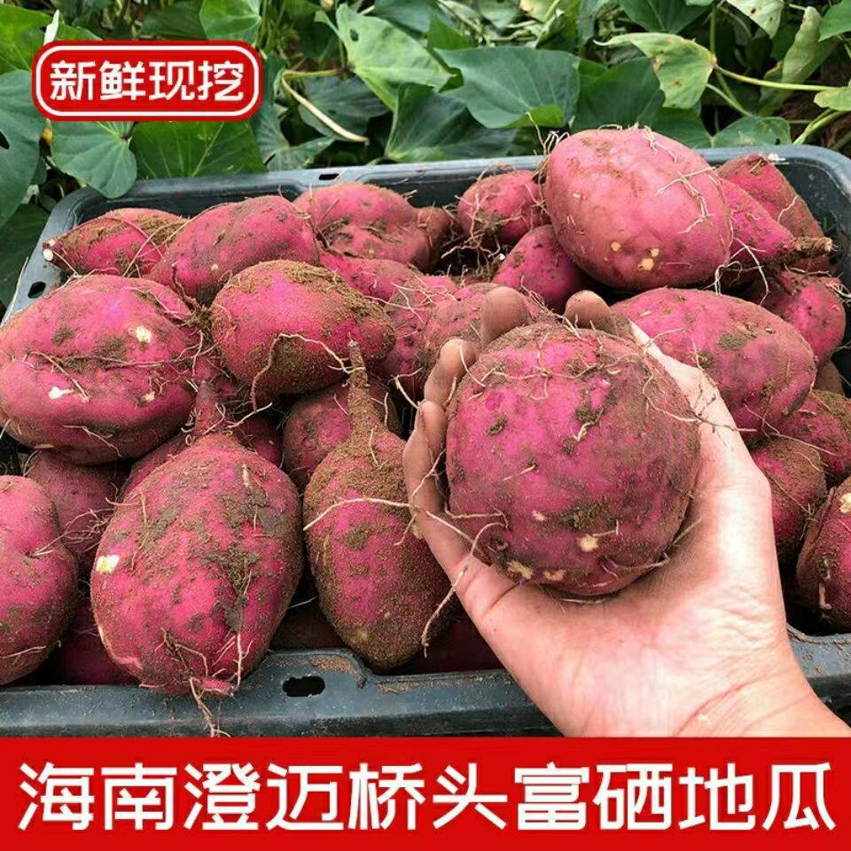 海南澄迈桥头富硒地瓜圆果产地直销沙地红薯新鲜现挖番薯包邮5斤图片