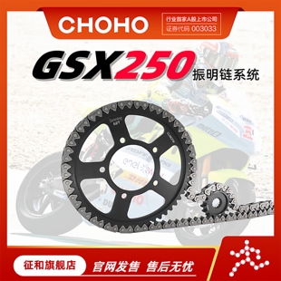 征和旗舰店摩托车油封链条GW/GSX/DL250振明链条降噪静音三件套装