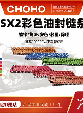 征和链条官方旗舰店 520/525/530SX2 摩托车静音二代彩色油封链条