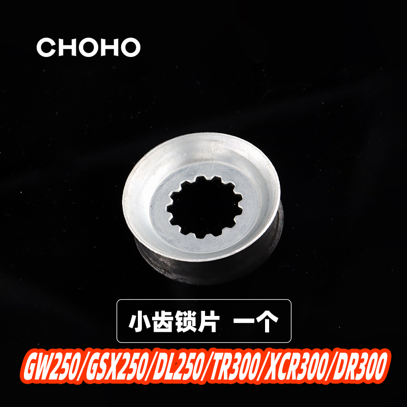 征和GSX/GW250TR300小齿主轴锁片