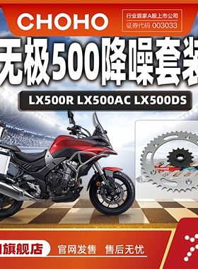 征和旗舰店适用隆鑫无极LX500DS/AC 525AC/DS/R油封链条链轮摩托