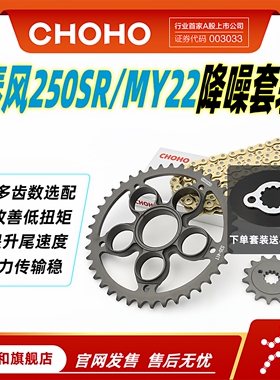 征和旗舰店适用摩托车春风250SR MY22单摇臂链轮油封链条套装牙盘
