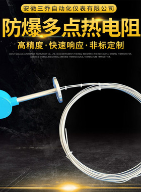 防爆多点热电阻 WZPK3-4304F  温度传感器 温度变送器隔爆热电阻