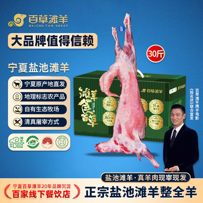 宁夏盐池滩新鲜羊羔肉羊