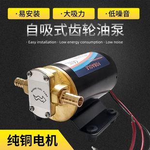 小型电动直流24V齿轮油泵 抽柴油润滑油泵直流加油设备机器