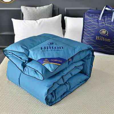 Hotel quilt Hilton duvet autumn winter warm 羽丝绒被芯冬被子
