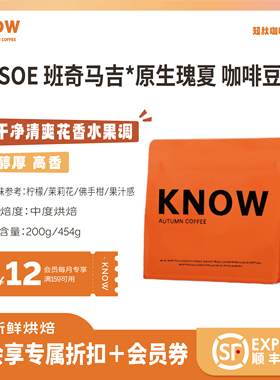KNOW知秋咖啡 班奇玛吉 原生瑰夏阿拉比卡精品咖啡豆代磨粉454g