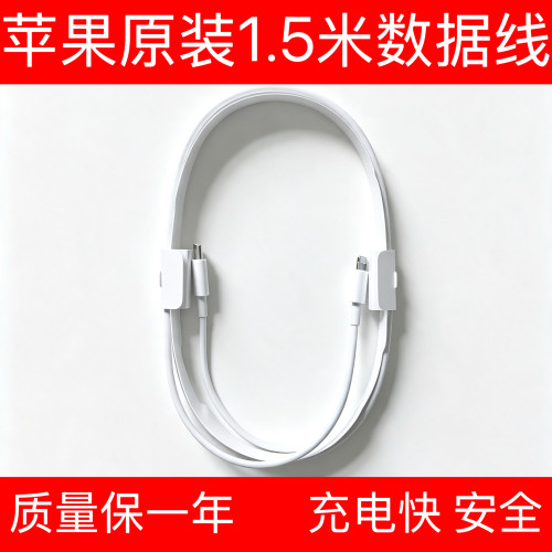 原装数据线正品快充线充电线1.5米线适用苹果ipad Air Mini 8P XSMAX 11 12 13 14 15 16 17ProMAX MacBook