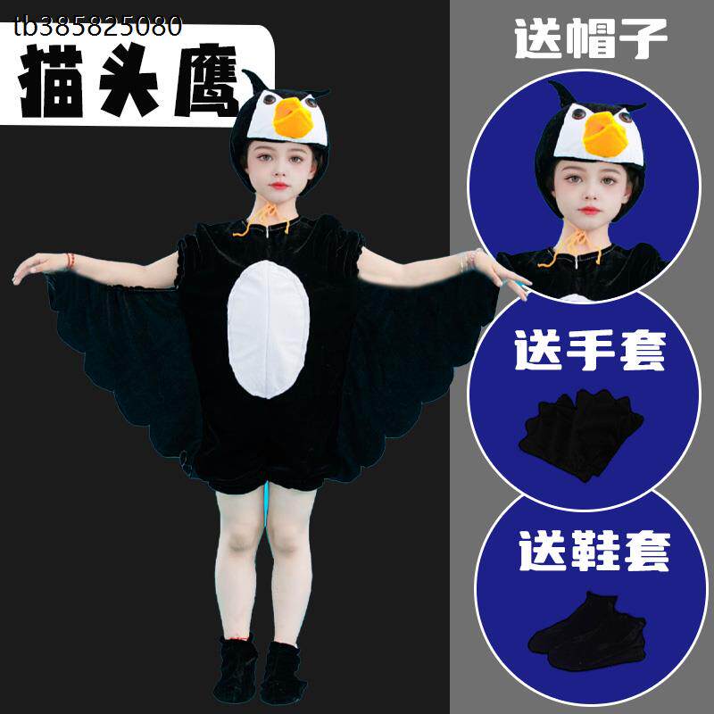 儿大童老鹰猫头鹰小鸟白