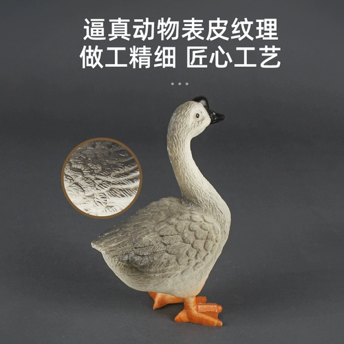 Детская модель животного, фигурка, детский познавательный универсальный комплект для мальчиков, обучение