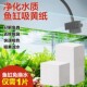养鱼鱼缸吸黄纸快速去水黄吸附杂质活性净化水质清澈剂净化纸WT