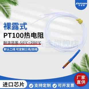 开普森进口芯片PT100铂热电阻两线制PT1000超快反应温度传感器