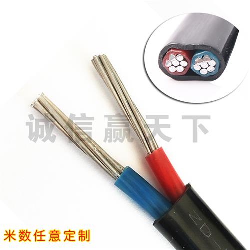 国标铝芯电线电缆黑色防老化室外进户6 10 16 25平方单芯农网铝线