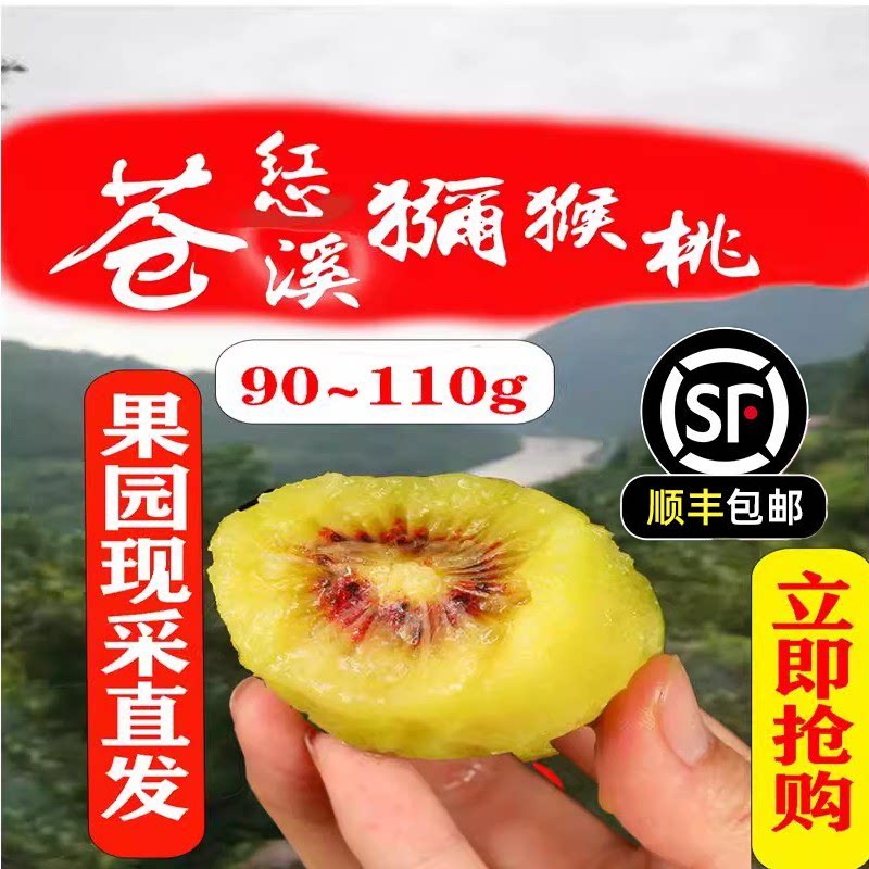 苍溪红心猕猴桃大果整箱顺丰包邮