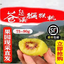 苍溪红心猕猴桃奇异果四川产地果园直发新鲜孕妇水果中果顺丰包邮