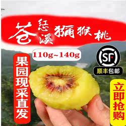 正宗苍溪红心猕猴桃四川产地果园直发新鲜孕妇水果特大果顺丰包邮