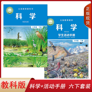 学生活动手册六年级下册套装 2本教育科学出版 社小学生课本教材教科版 正版 活动手册套装 小学科学 6六年级下册科学 2024适用教科版
