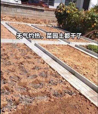 新款菜地围边石庭院花园围边石花坛挡土石菜园地面菜地沟板模具围